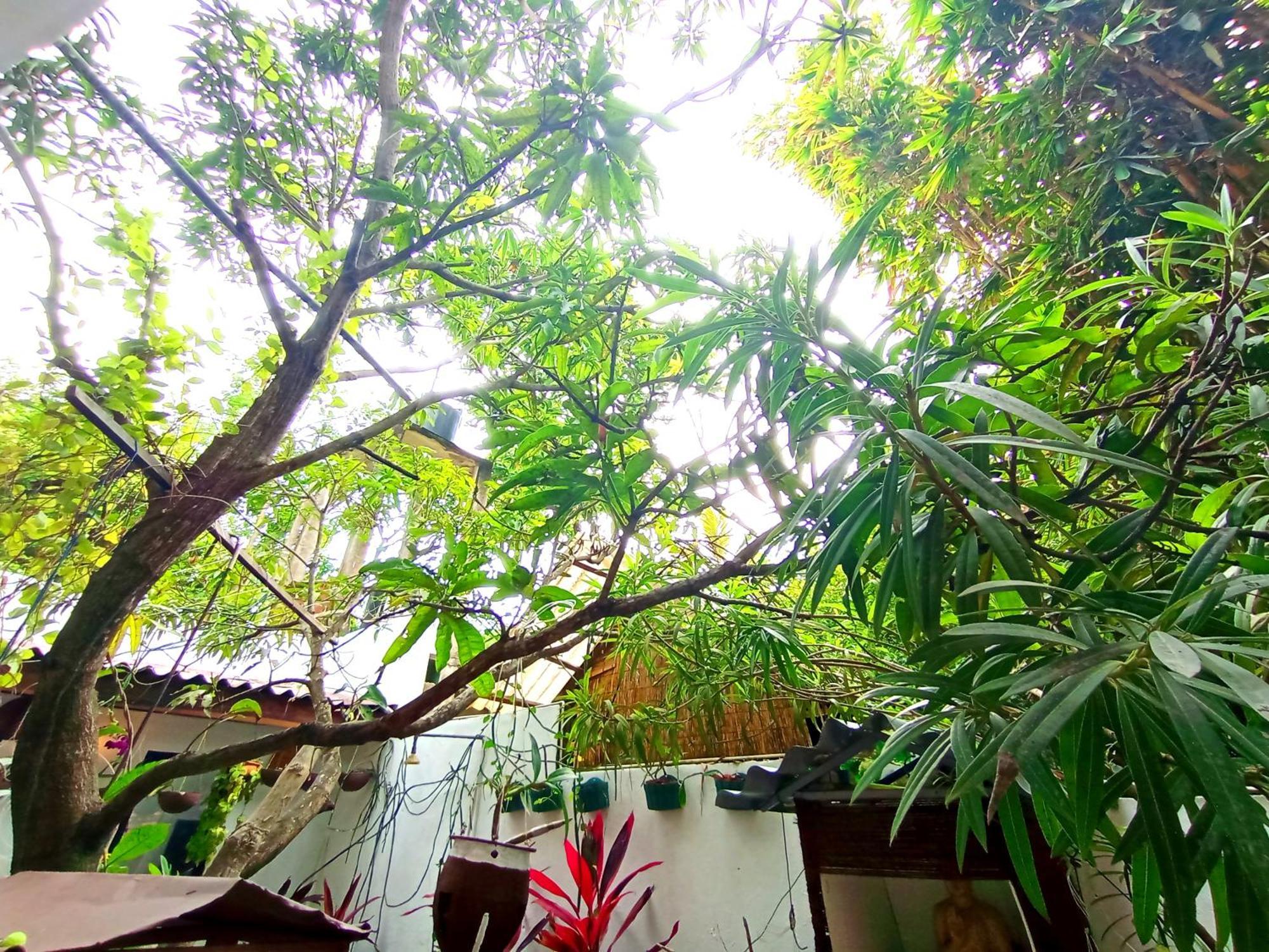 Ramesh Guesthouse ميريسا المظهر الخارجي الصورة